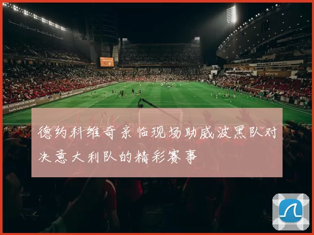 德约科维奇亲临现场助威波黑队对决意大利队的精彩赛事